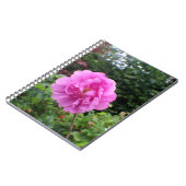 A Single Pink Flower ノートブック (左側)