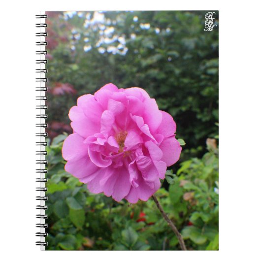 A Single Pink Flower ノートブック (正面)