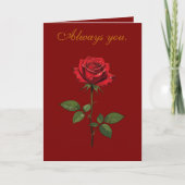 A Single Red Rose With Morning Dew  カード (正面)