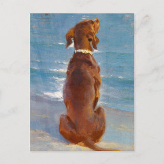 A sitting brown dog by P.S. Kroyer ポストカード