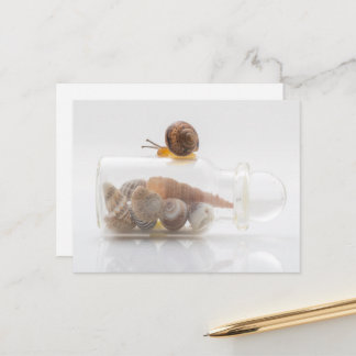A snail and seashells ポストカード