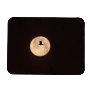 A Snow Goose Against A Full Moon | New Mexico マグネット
