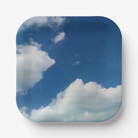 A softness to the clouds ペーパープレート (正面)