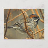A sparrow, resting, sits on a bush branch ポストカード (正面)