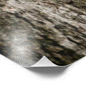 A squirrel perched on the knob of a tree. フォトプリント (角)