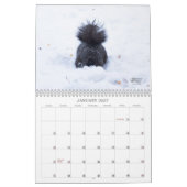 A Squirrel's Tale 2026 Wall Calendar カレンダー (1月 2027)