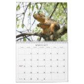 A Squirrel's Tale 2026 Wall Calendar カレンダー (3月 2027)