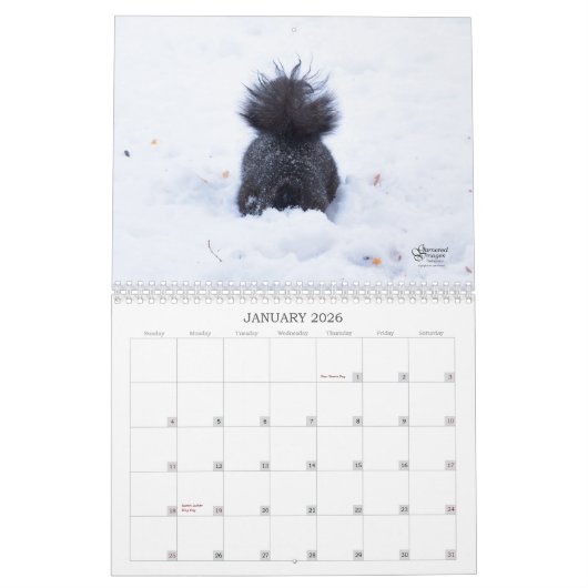 A Squirrel's Tale 2026 Wall Calendar カレンダー (1月 2026)