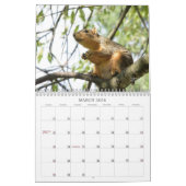 A Squirrel's Tale 2026 Wall Calendar カレンダー (3月 2026)