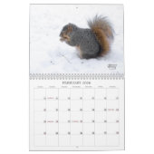 A Squirrel's Tale 2026 Wall Calendar カレンダー (2月 2026)
