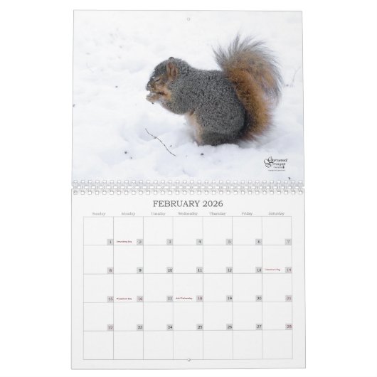A Squirrel's Tale 2026 Wall Calendar カレンダー (2月 2026)