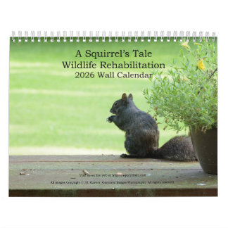 A Squirrel's Tale 2026 Wall Calendar カレンダー
