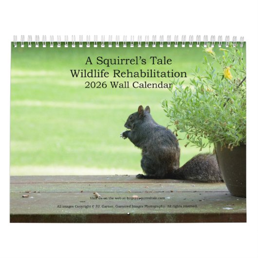A Squirrel's Tale 2026 Wall Calendar カレンダー (カバー)