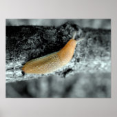 A Sticky Situation ポスター (正面)