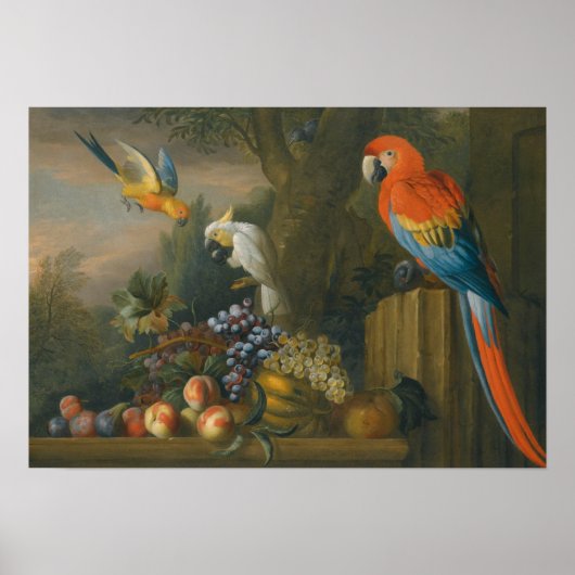 A Still Life With Fruit, Parrots And a Cockatoo ポスター (正面)