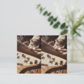 A Still Moment in Sunlight ポストカード (スタンド正面)