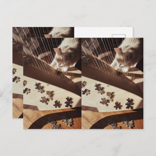 A Still Moment in Sunlight ポストカード (正面/裏面)