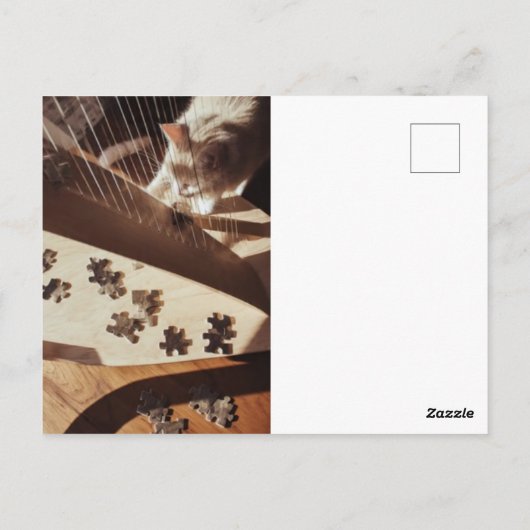 A Still Moment in Sunlight ポストカード (裏面)