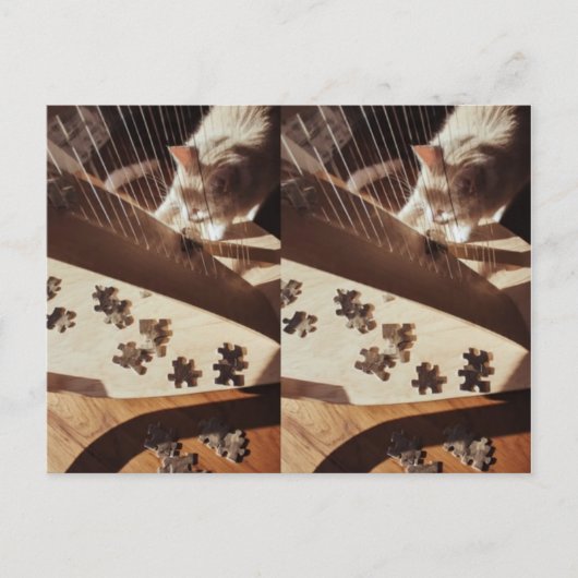 A Still Moment in Sunlight ポストカード (正面)