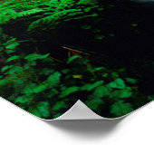 A stream in an old-growth forest ポスター (角)