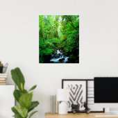 A stream in an old-growth forest ポスター (ホームオフィス)