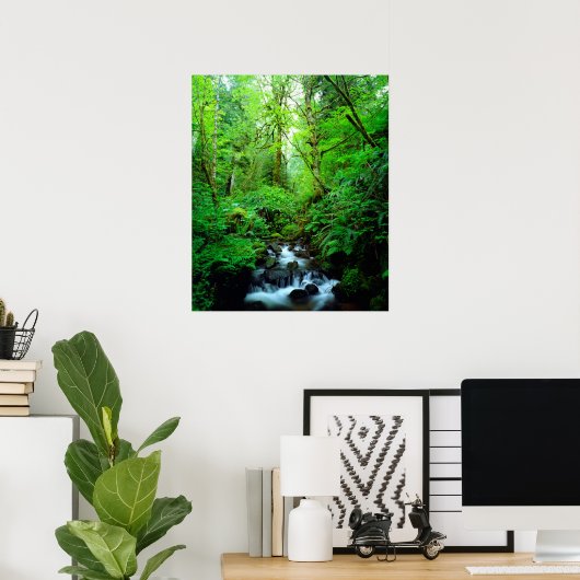 A stream in an old-growth forest ポスター (ホームオフィス)