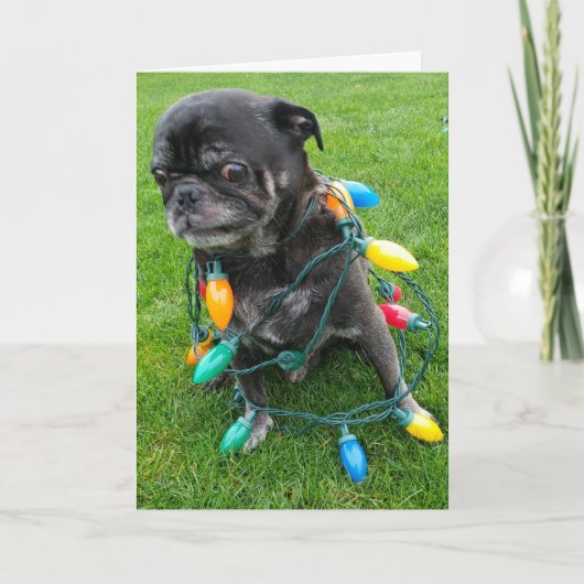 A Tangle-Free Christmas シーズンカード (正面)