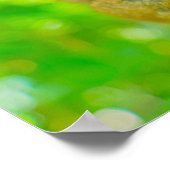 A Tarsier's Tranquil Slumber in Bohol ポスター (角)