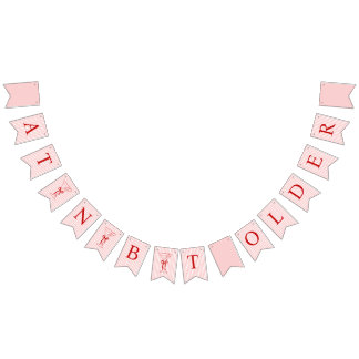 A Tini Bit Older Cute Bow Pink Red Birthday バンティングフラッグ
