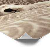 A Tired Dog ポスター (角)