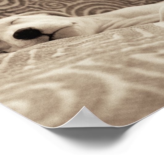 A Tired Dog ポスター (角)