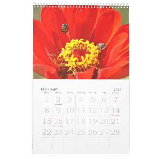 a touch of red for 2025 カレンダー (2月 2026)