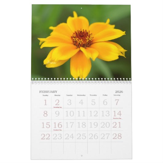 a touch of yellow for 2025 カレンダー (2月 2026)