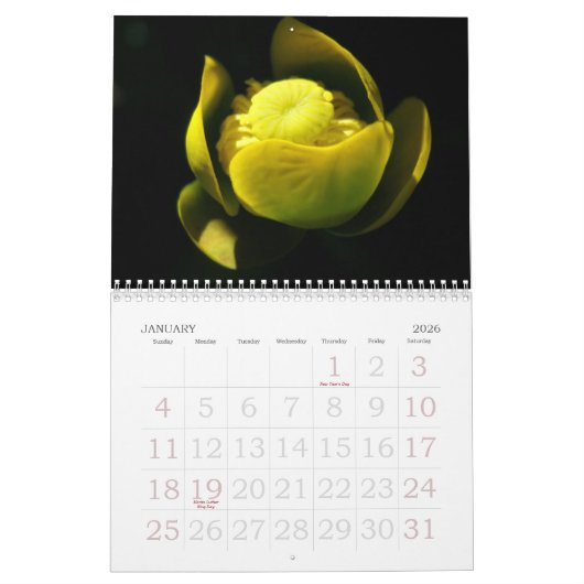 a touch of yellow for 2025 カレンダー (1月 2026)