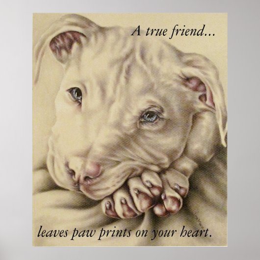 A True Friend Leaves Paw Prints: Pit Bull Poster ポスター (正面)