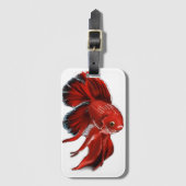 A vibrant red betta fish swimming. ラゲッジタグ (正面縦)