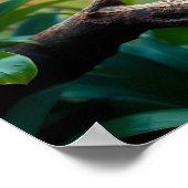 A vibrant Toucan Tropical Jungle ポスター (角)