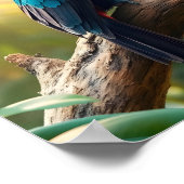 A Vibrant Toucan Tropical Jungle ポスター (角)