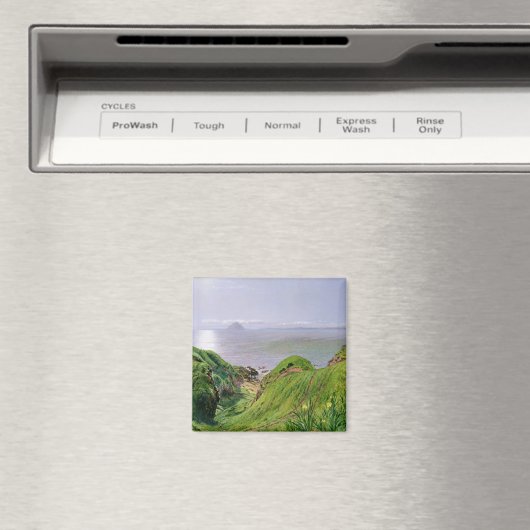 A View of Ailsa Craig and and Isle of Arran, 1860 マグネット (インサイチュ (食洗機))