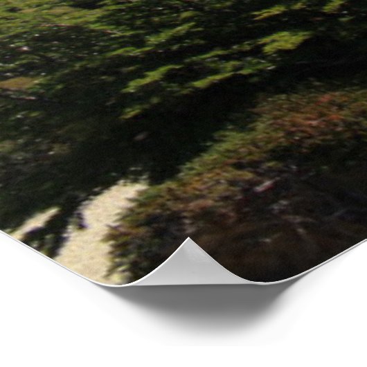 A View Of Mount Fitz Roy ポスター (角)