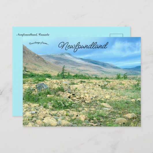 A View of Newfoundland ポストカード (正面/裏面)