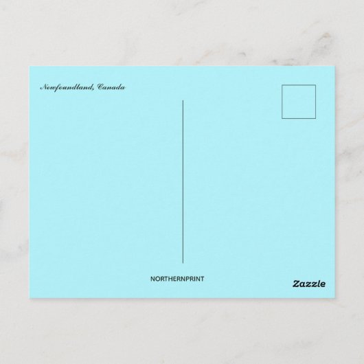 A View of Newfoundland ポストカード (裏面)