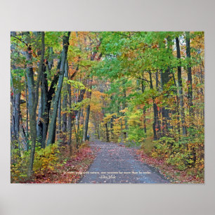 A Walk in Autumn Woods Original Photograph ポスター