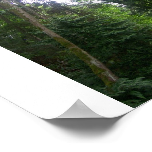 A Walk In The Woods ポスター (角)