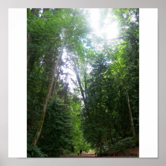 A Walk In The Woods ポスター (正面)