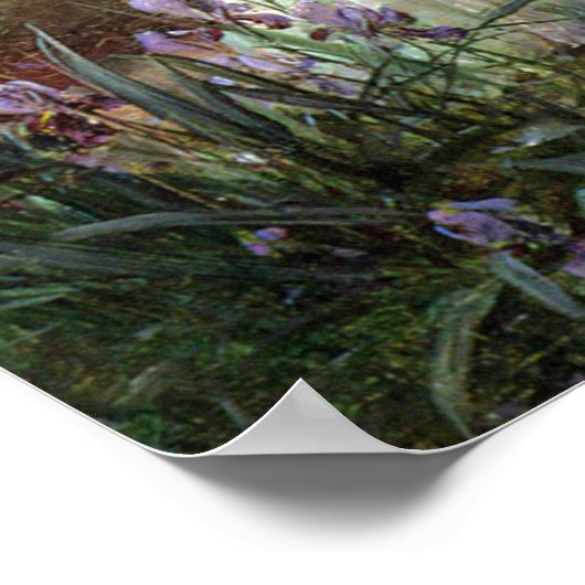 A Water Idyll by Hans Zatzka – ポスター (角)