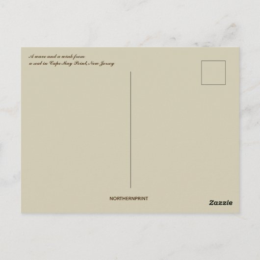 A Wave and a Wink From a Seal in New Jersey ポストカード (裏面)