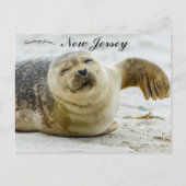 A Wave and a Wink From a Seal in New Jersey ポストカード (正面)