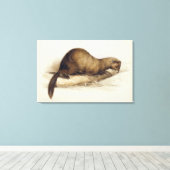 A Weasel, 1832 (w/c、ペン、インク、グーアッシュとガムの上 キャンバスプリント (インサイチュ (ウッドフロア))