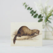 A Weasel, 1832 (w/c、ペン、インク、グーアッシュとガムの上 ポストカード (スタンド正面)